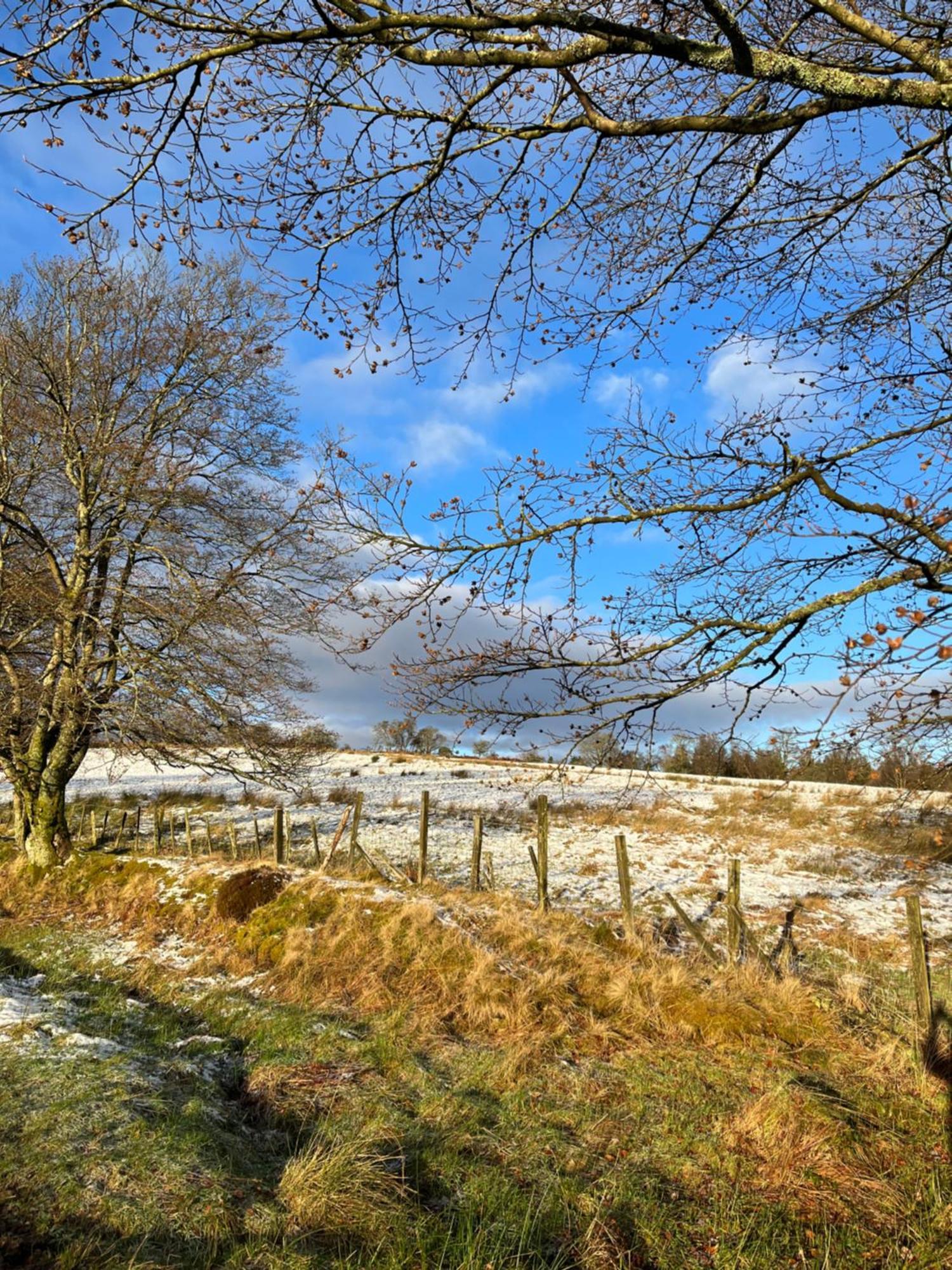 Stoneymollan Over Loch Lomond バロック エクステリア 写真