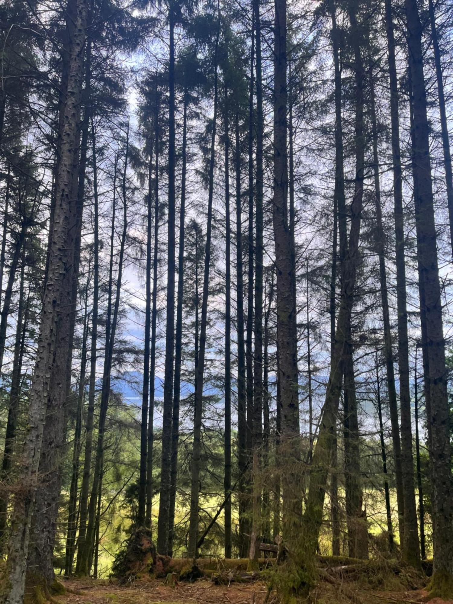 Stoneymollan Over Loch Lomond バロック エクステリア 写真