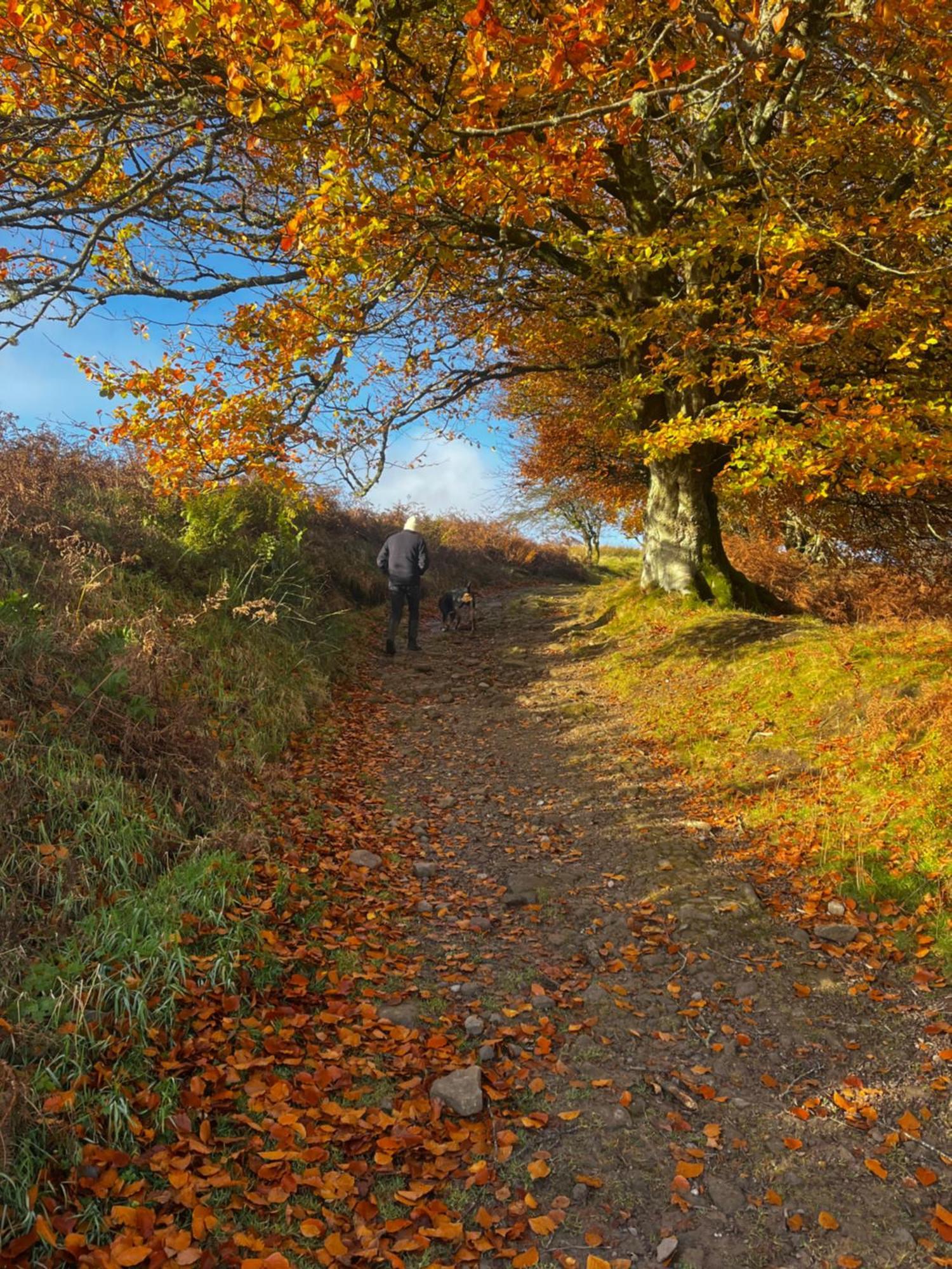 Stoneymollan Over Loch Lomond バロック エクステリア 写真